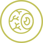 Macular-Degeneration-5f7b3649578cf