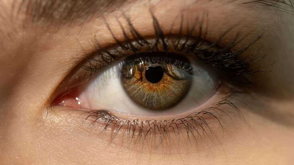 close up of a woman's eye